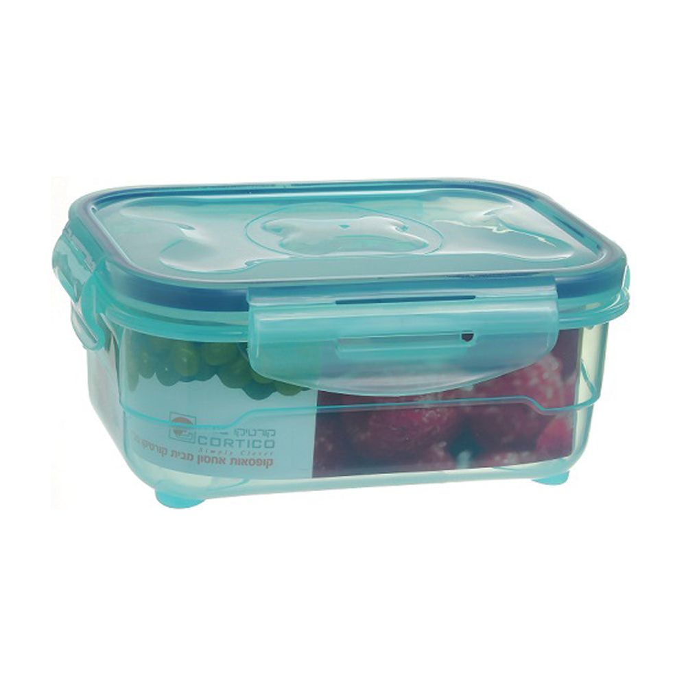 Plastic Blue Storage Box 650ml