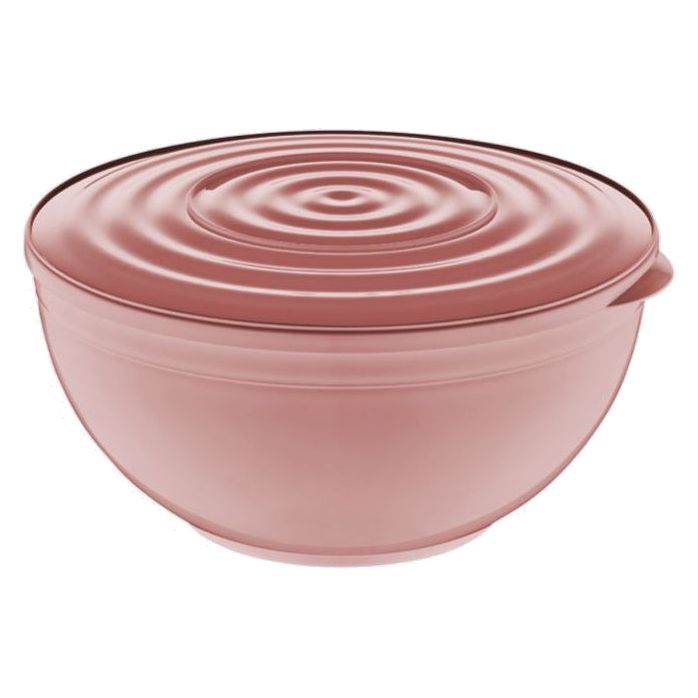 Storage Bowl with Lid 5.5L