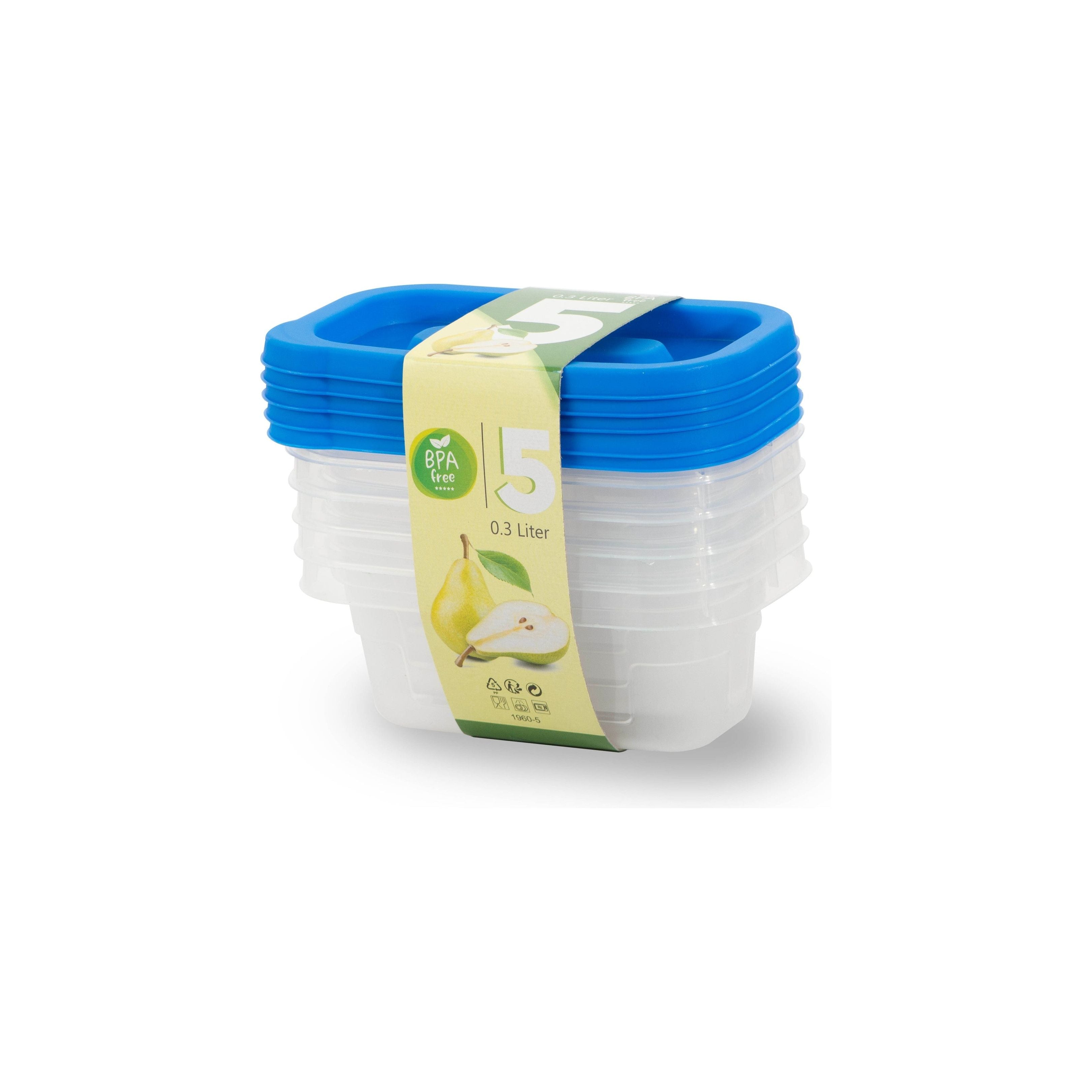 Rectangular Set 5 Boxes 0.3L