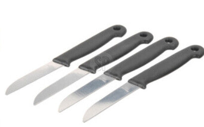 Set 4 Paring Knives Stainless Steel
