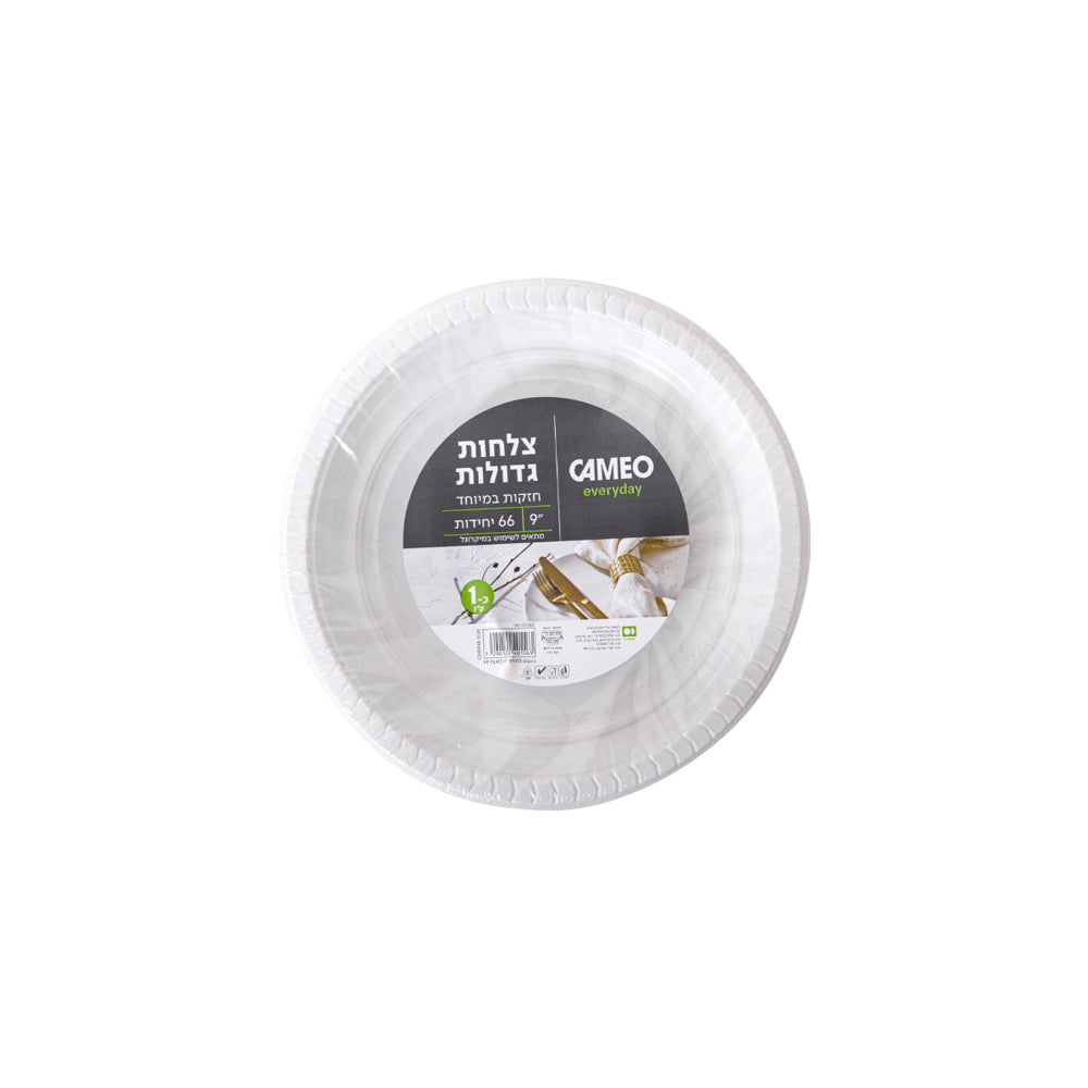 Large White Plate 9 66 Unit Set