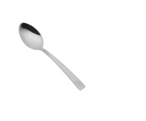 Stainless Teaspoon Set (6)